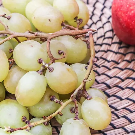 Principe Real Stylish Modern With Ac 아파트 리스본